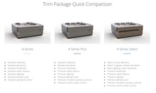 Load image into Gallery viewer, Bullfrog Spas A8L