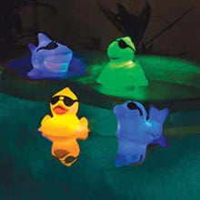 Load image into Gallery viewer, LED Light Up Pals - Assorted