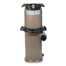 Load image into Gallery viewer, Hayward SwimClear Single Element