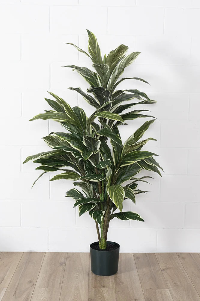 Artificial cordyline plant 57”