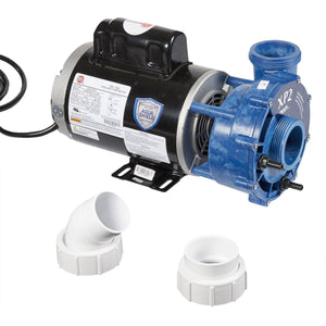 14972 Dynasty spa pump