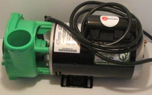 15555 Dynasty spa pump