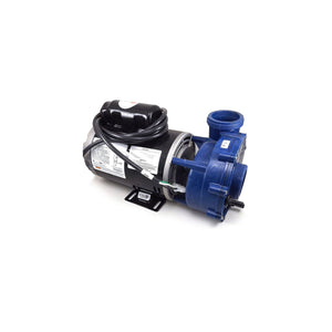 15557 Dynasty spa pump