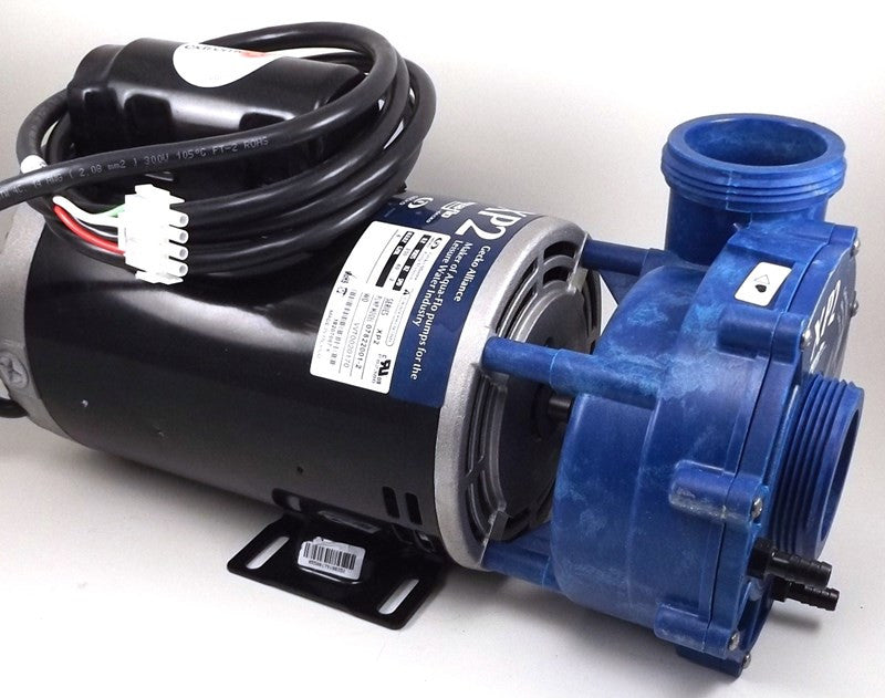 15558 Dynasty spa pump