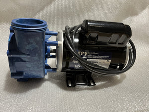 15573 Dynasty spa pump