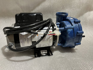 15573 Dynasty spa pump