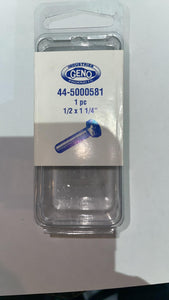 GENO HEX. CAP SCREW SS (44-5000581)