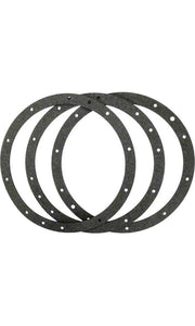 Pentair gasket