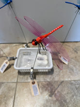 Load image into Gallery viewer, Dragonfly Hat Clips
