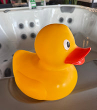Load image into Gallery viewer, Large Floating Duck
