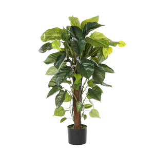 Artificial Pothos Tree