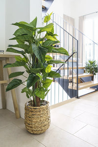 Artificial Pothos Tree