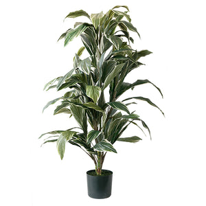 Artificial cordyline plant 57”