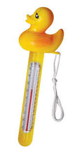 Load image into Gallery viewer, FLOATING THERMOMETER - SOFT TOP - ASSORTED
