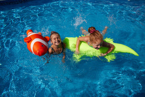 Nemo Pool Bean Bag Float