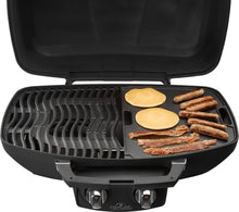 Load image into Gallery viewer, Cast Iron Reversible Griddle for TravelQ 285 Series
