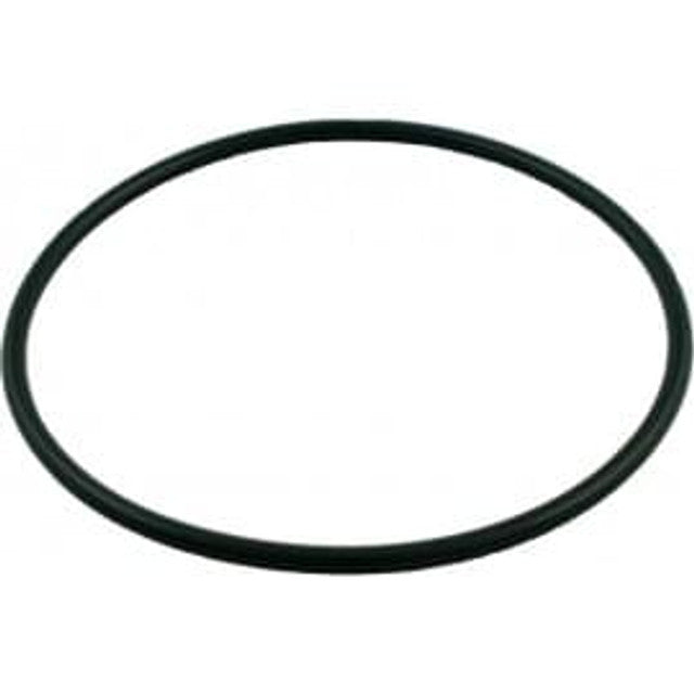 Hayward O-Ring for Chlorinator