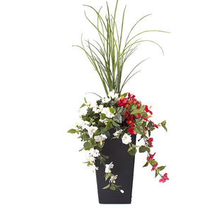 Dracaena and Red and White Geranium Planter