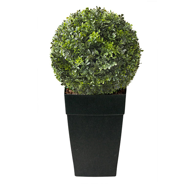 Boxwood Ball Planter