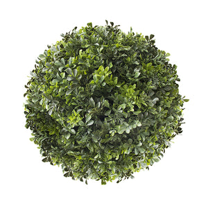 Round English Boxwood