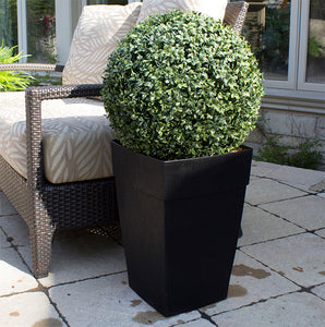 Boxwood Ball Planter