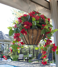 Load image into Gallery viewer, Red Hibiscus Hanging Basket

