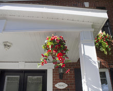 Load image into Gallery viewer, Red Hibiscus Hanging Basket
