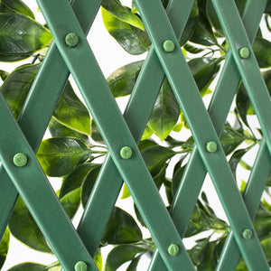 Expandable greenery fence