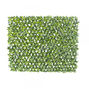 Expandable greenery fence