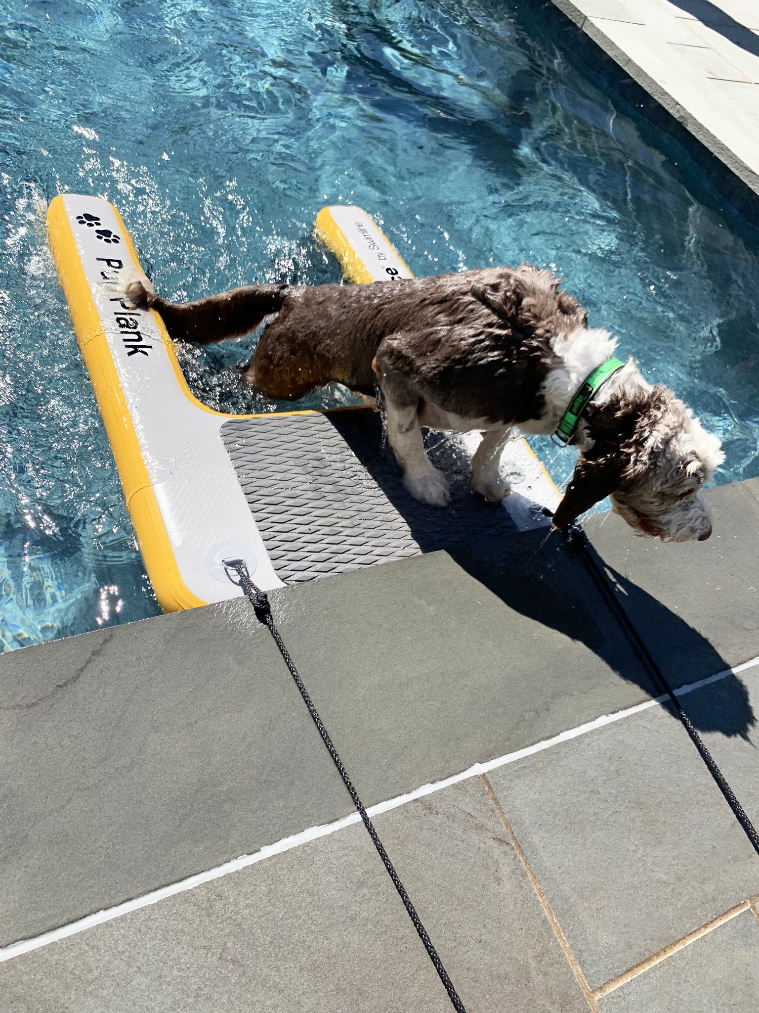 Solstice Infloatable Panels Solstice Inflatable Pup Plank – Amazon Pools and Spas Inc.